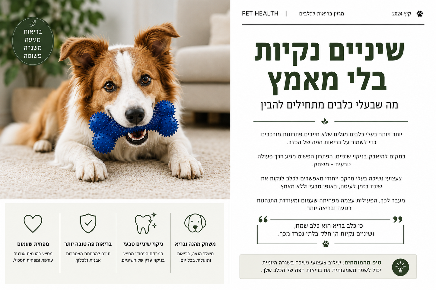 בונצי - עצם ניקוי שיניים לכלב